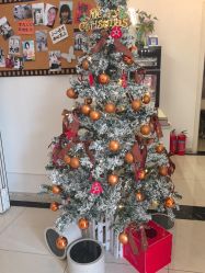 -香秀空间科技抗衰·美容中心