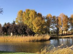 -安德鲁户外烧烤帐篷营地(马泉营店)