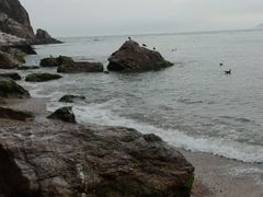 -海驴岛(荣成市)