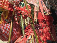 -呈贡滇池生态湿地公园