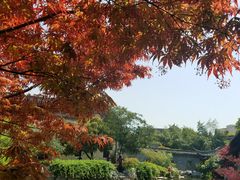 -口岸雕花楼