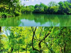 -西溪国家湿地公园