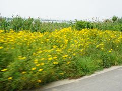 -七的湖·晚芳亭·阳澄湖农家菜·大闸蟹(莲花岛店)