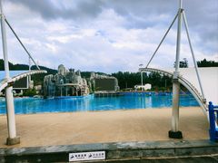 -青鱼湾水上乐园