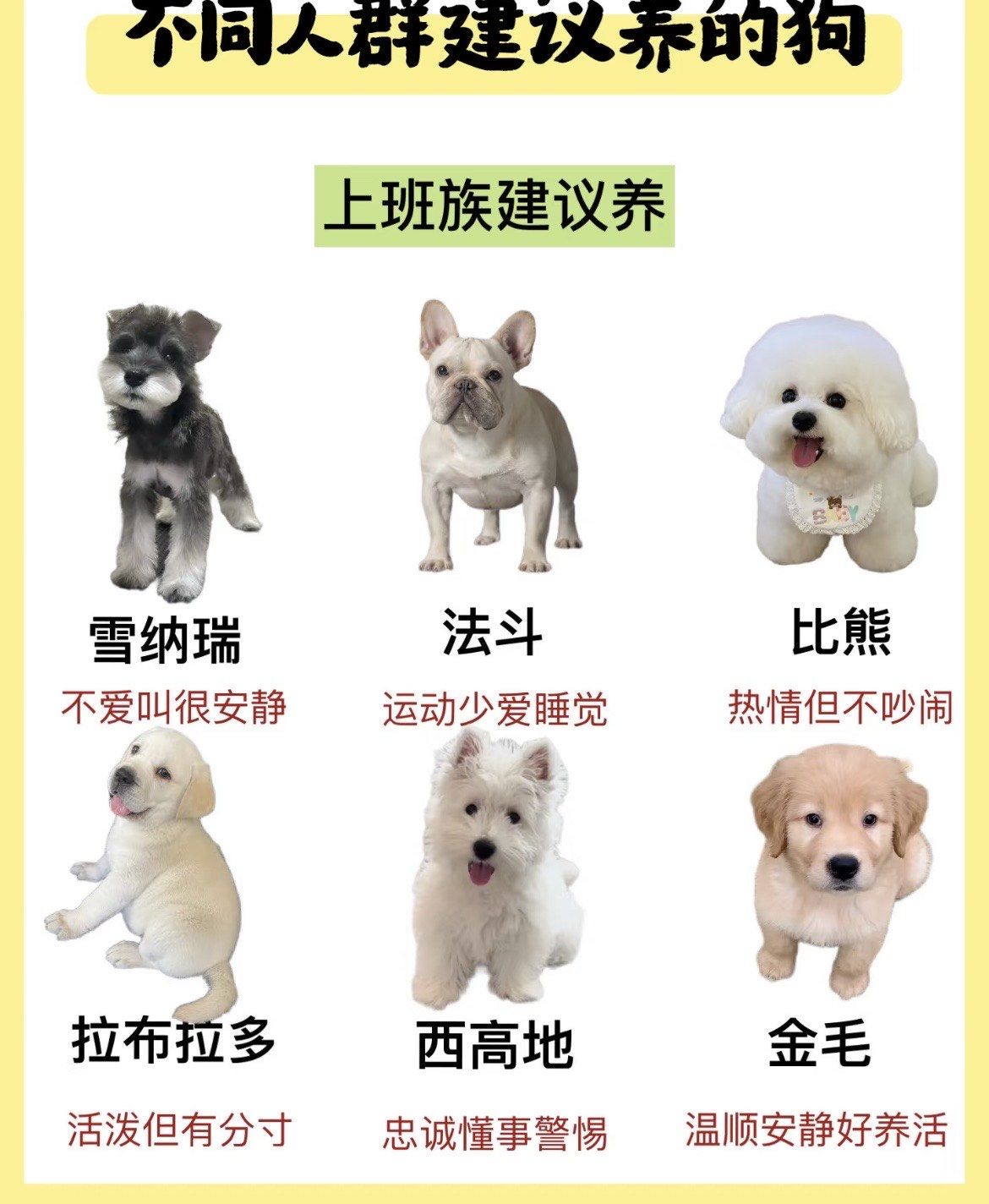 你能分辨真假宠物吗?