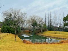 -上海佘山茂御臻品之选酒店(原佘山艾美酒店)