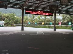 -呀诺达热带雨林