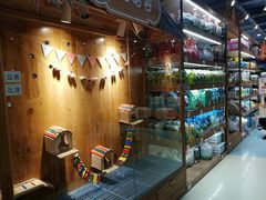 -龟与熊猫宠物公园(南坪店)