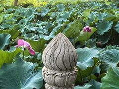 -莲池书院博物馆