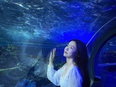 -江和美海洋公园