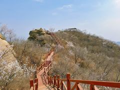 -大岭沟猕猴桃谷风景区