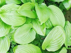 -滨海新区濒开里菜市场