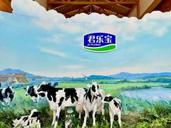 -君乐宝优致牧场