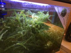 -隐鮨日料(北辰三角洲店)