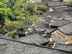 -杨家堂村