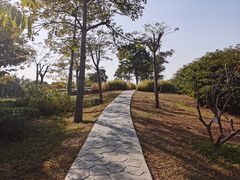 -福田红树林生态公园