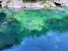 -石台牯牛降景区