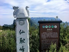 -王莽岭风景区