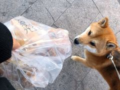 -焙丽拾光(麦凯乐直营店)
