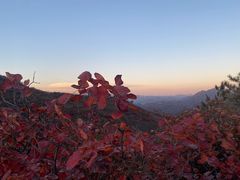 -水峪民俗村