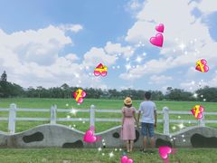 -瑞穗牧场