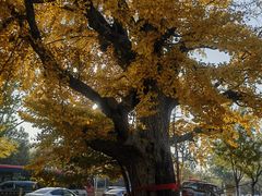 -清华大学玉泉医院