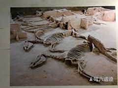 -洛阳周王城天子驾六博物馆