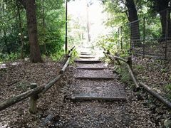 -井之头恩赐公园