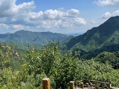 -大岭沟猕猴桃谷风景区