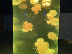 -福州罗源湾海洋世界旅游区