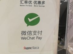 -谢列梅捷沃国际机场