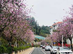 -小南山公园