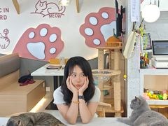 -喵园·猫主题咖啡厅·撸猫·猫咖(国贸店)