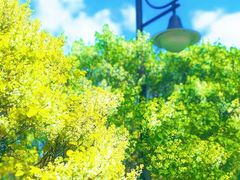 -哈尔滨师范大学(松北校区)