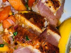 -Fish Hopper