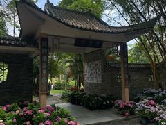 -广西壮族自治区药用植物园