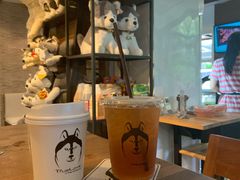 -TrueLove @ Neverland (Husky Cafe)