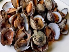 -宾朋海鲜饭庄(兴海路店)