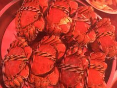 -小陆莲花蟹园农家乐(莲花岛店)