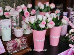 -星巴克臻选(思南公馆店)