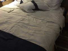 -天津和平智选假日酒店