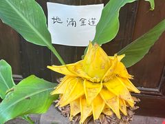 -五凤溪古镇