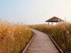 -西青郊野公园