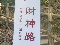 -南丹山森林王国