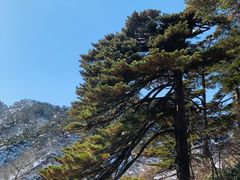 -黄山风景区