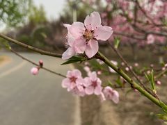-永定河休闲森林公园