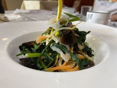 -丁老爷子苏香圆