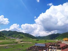 -关山草原