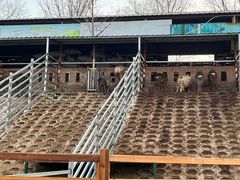 -北京鹿世界主题园