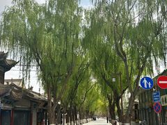 -张掖大佛寺景区